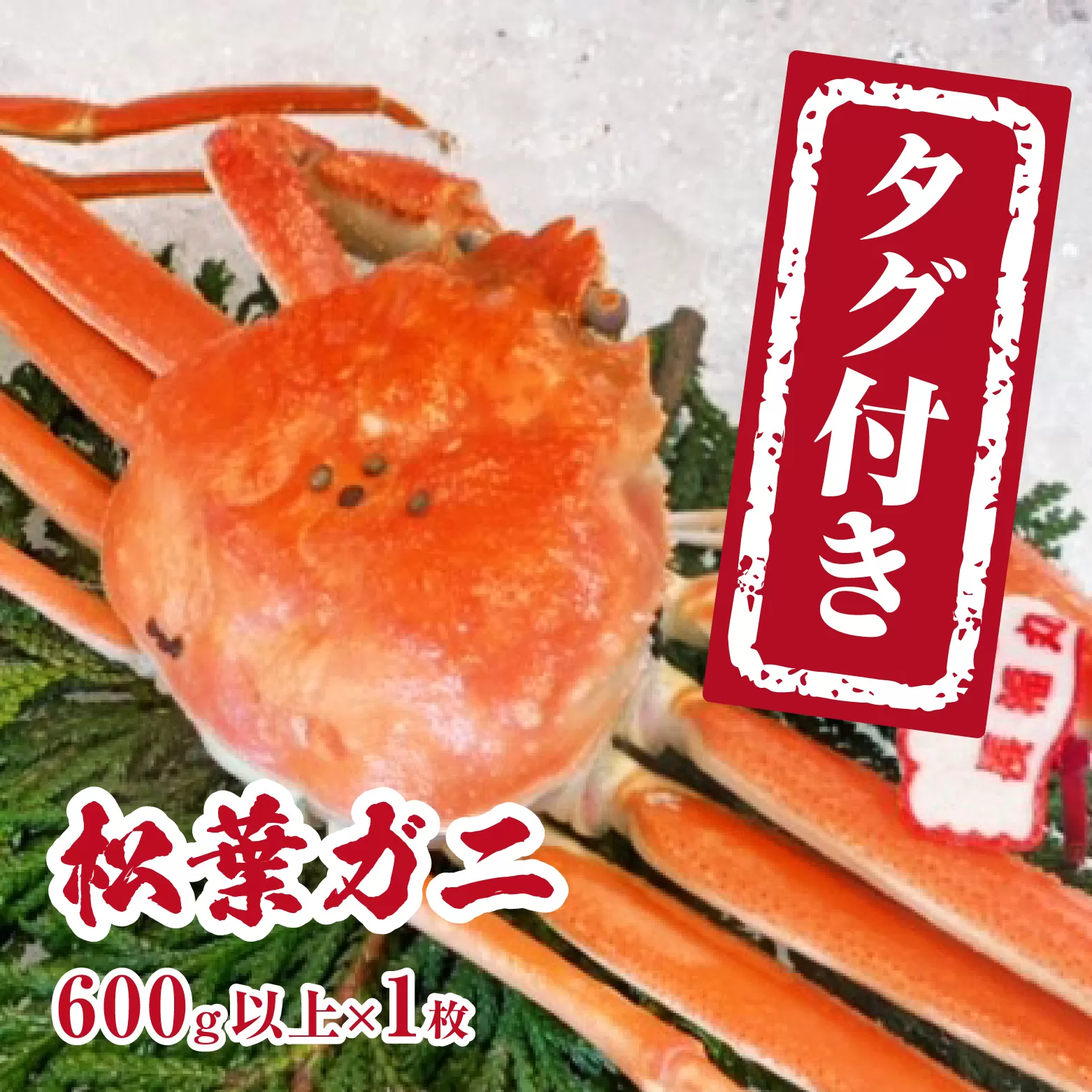 【チルドでお届け】【ボイル】境港水揚げ タグ付き松葉ガニ (600g以上×1枚) 魚々魚厳選 松葉がに 松葉蟹