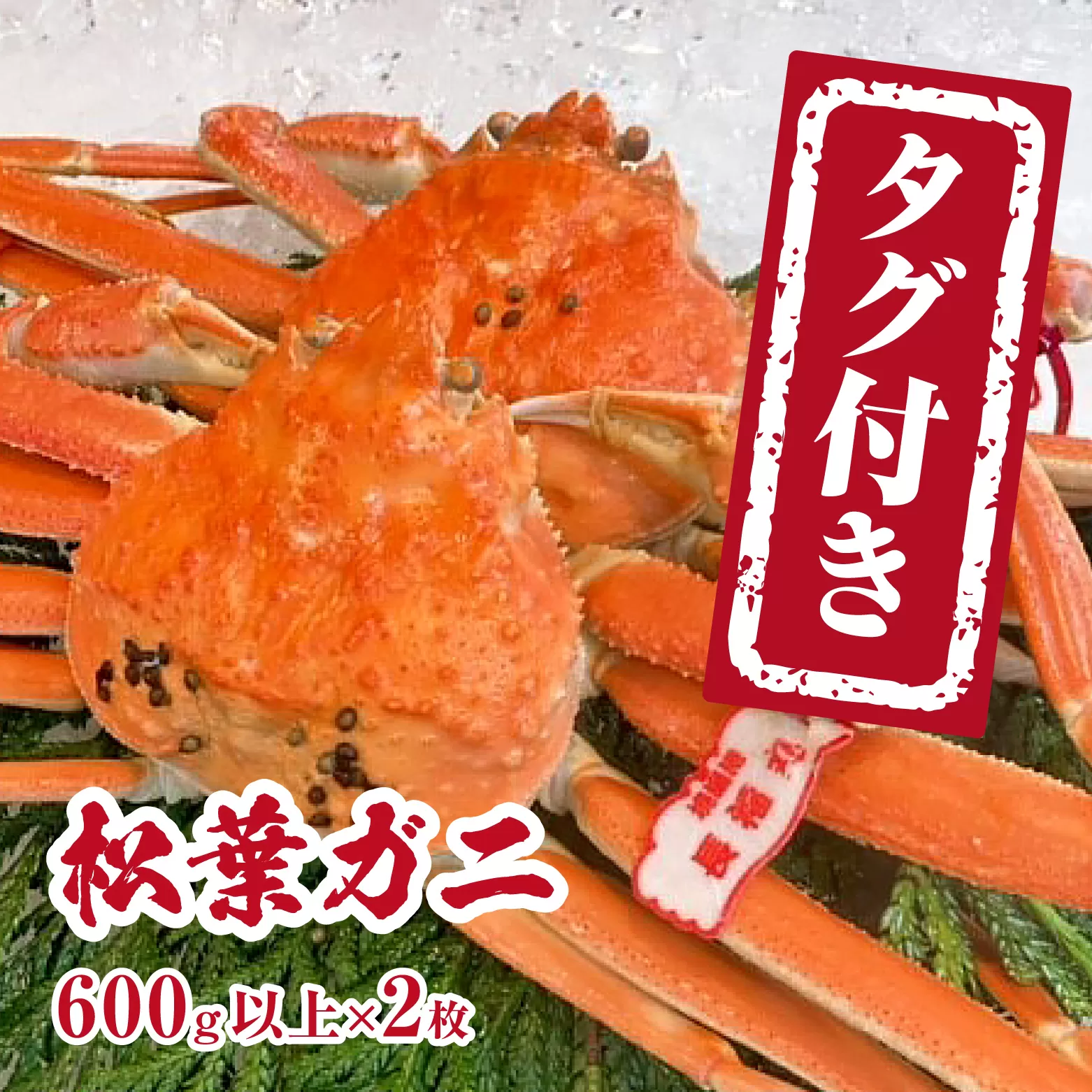 【チルドでお届け】【ボイル】境港水揚げ タグ付き松葉ガニ (600g以上×2枚) 魚々魚厳選 松葉がに 松葉蟹