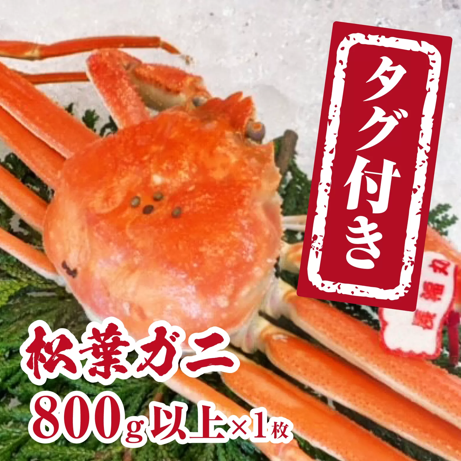 【チルドでお届け】【ボイル】境港水揚げ タグ付き松葉ガニ (800g以上×1枚) 魚々魚厳選 松葉がに 松葉蟹