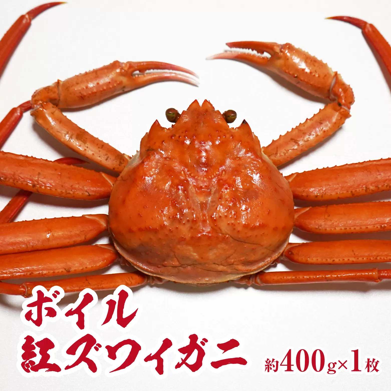 【チルドでお届け】境港水揚げ ボイル紅ズワイガニ 1枚(約400g) 魚々魚厳選 カニ 蟹 かに ベニズワイガニ 紅ずわいがに ずわいがに