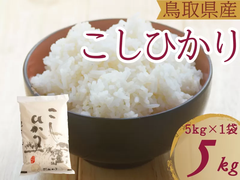 米 こしひかり5kg 鳥取県産 こめ 精米 コシヒカリ 5キロ 令和6年産 送料無料 1052