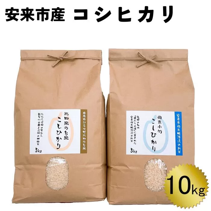 安来市産コシヒカリ10kg 令和6年産 【新米 5kg 2袋　精米 お米 島根 おいしい 食べ比べ】