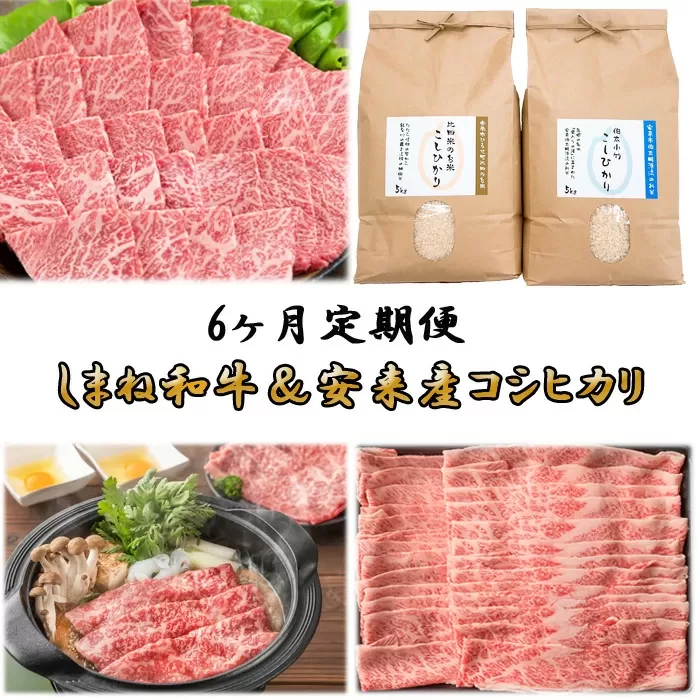 【定期便】しまね和牛&安来市産コシヒカリ6ヵ月便 令和6年産【新米 カルビ 肩バラ モモスライス 焼肉 すき焼き しゃぶしゃぶ お米 おいしい ご当地】