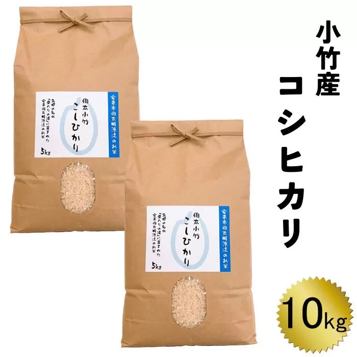 小竹産コシヒカリ10kg 令和6年産 【新米 5kg 2袋 精米 お米 島根 安来 おいしい】