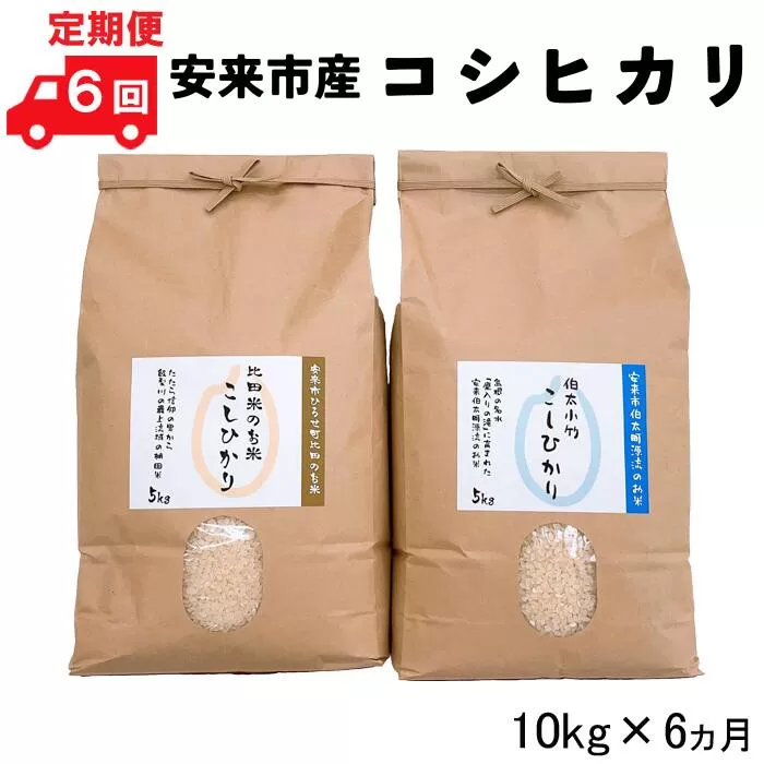 【定期便】安来市産コシヒカリ10kg×6ヵ月 令和6年産 【新米 5kg 2袋　60kg 精米 お米 島根 おいしい 食べ比べ】