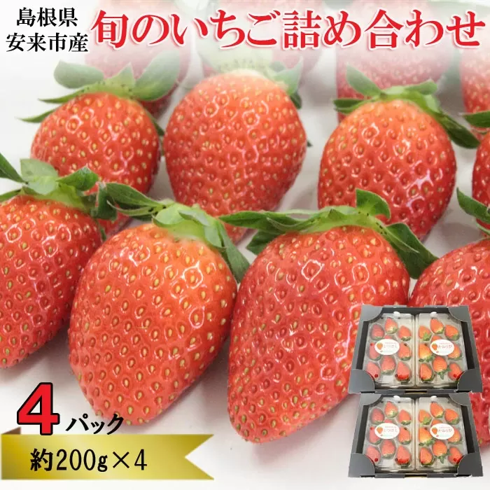 【早期予約】 農場長厳選の美味しいいちご 800g【200g×4パック 苺 詰め合わせ 島根県 安来市産】