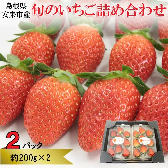 【早期予約】 農場長厳選の美味しいいちご 400g【200g×2パック 苺 詰め合わせ 島根県 安来市産】