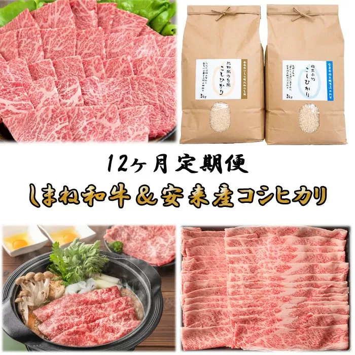 【定期便】しまね和牛&安来市産コシヒカリ12ヵ月便 令和6年産【新米 カルビ 肩バラ モモ 焼肉 すき焼き しゃぶしゃぶ お米 おいしい ご当地】