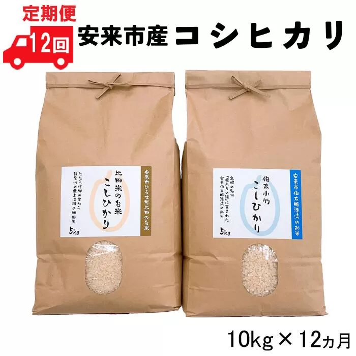 【定期便】安来市産コシヒカリ10kg×12ヵ月 令和6年産 【新米 5kg 2袋　120kg お米 島根 おいしい 食べ比べ】