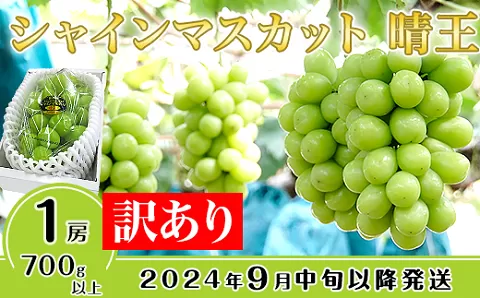 【訳あり】シャインマスカット晴王1房【2024年9月中旬〜10月下旬発送予定】（いばら愛菜館）