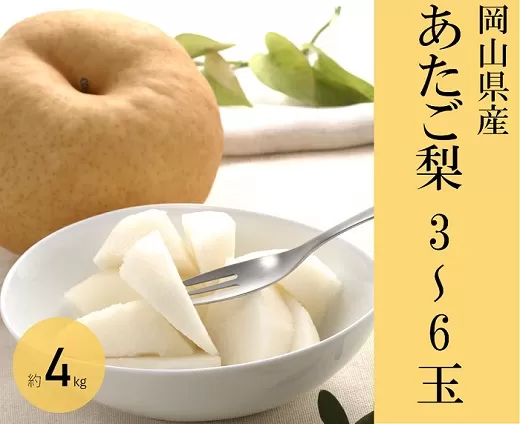 あたご梨 3～6玉（約4kg）化粧箱入り