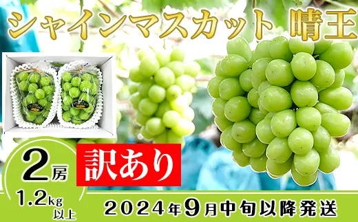 【訳あり】シャインマスカット晴王2房【2024年9月中旬〜10月下旬発送予定】（いばら愛菜館）