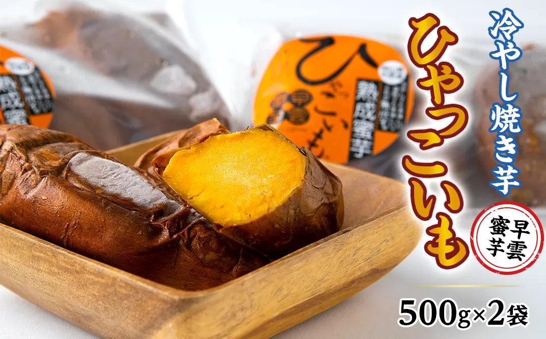 【早雲蜜芋】冷やし焼き芋「ひゃっこいも」500g×2袋