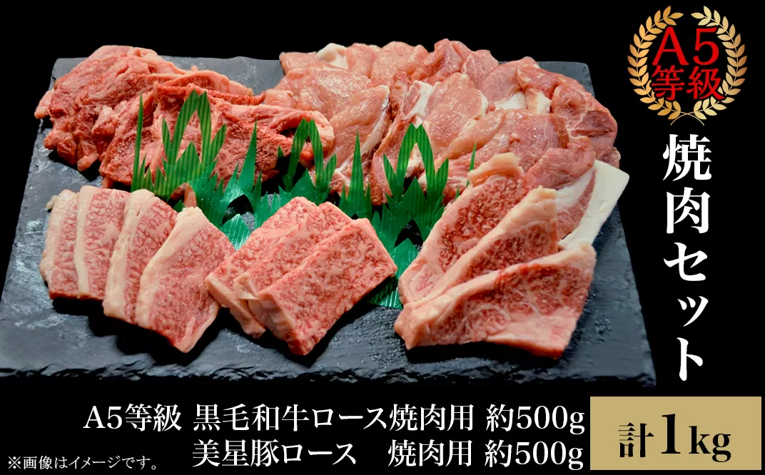 焼肉セット1kg（4〜5人用）A5等級 黒毛和牛ロース 約500gと美星豚ロース 約500g 岡山県産