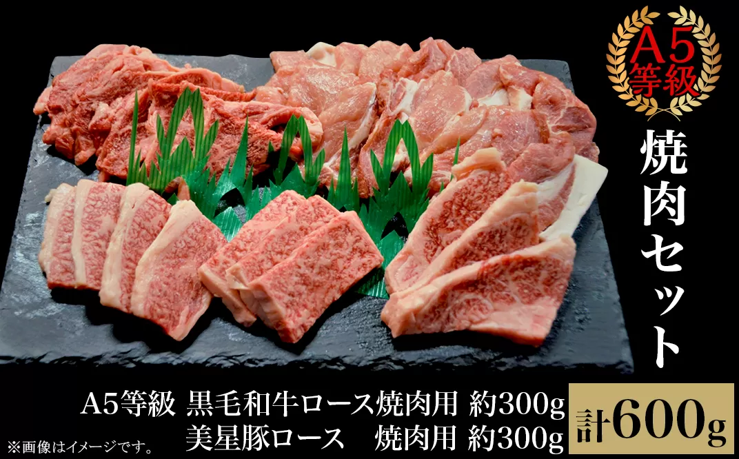 焼肉セット600g（2〜3人用）A5等級 黒毛和牛ロース 約300gと美星豚ロース 約300g 岡山県産