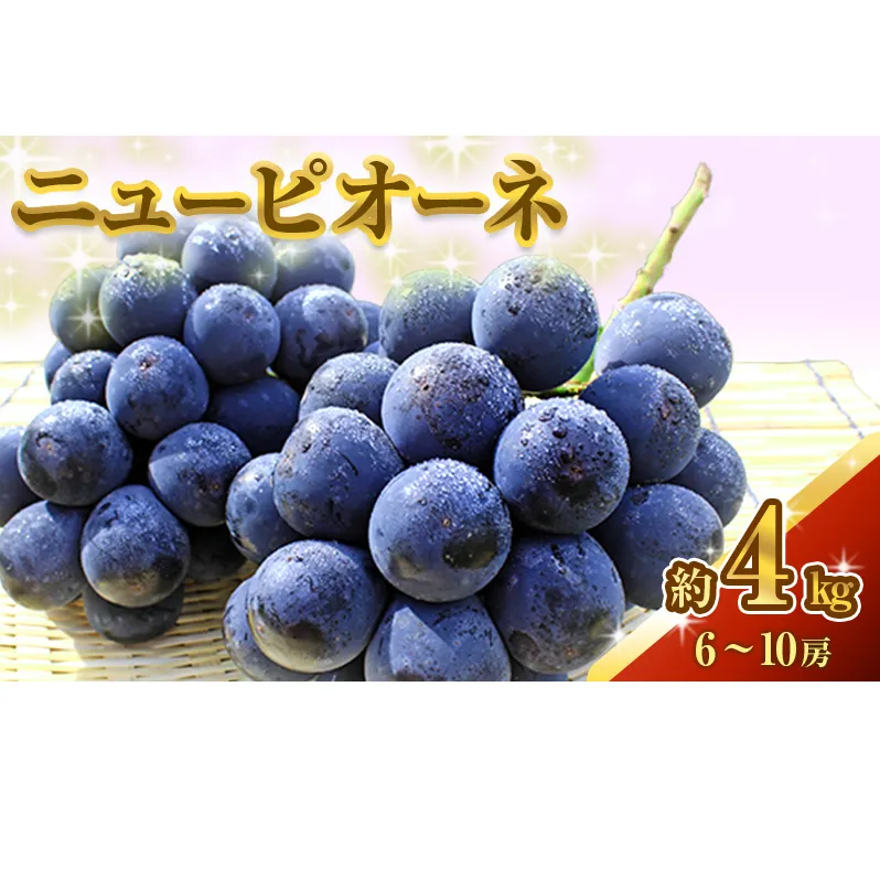ニュー ピオーネ 約4kg ぶどう 葡萄 フルーツ 岡山 高梁市産 2025年 先行予約 果物類 果物 
