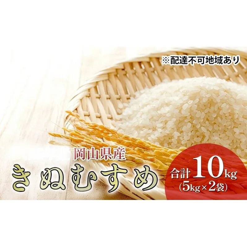 米 特A ランク きぬむすめ 10kg （5kg×2袋） 令和6年産 こめ コメ 白米 岡山県産