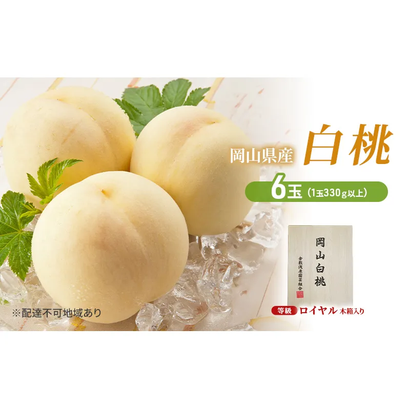 桃 2025年 先行予約 白桃 6玉（1玉330ｇ以上）等級：ロイヤル 木箱入り もも モモ 岡山県産 国産 フルーツ 果物 セット ギフト 