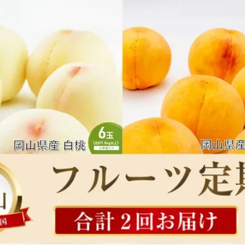 桃 定期便 2025年 先行予約 晴れの国 岡山 の フルーツ 定期便 2回コース 桃食べ比べ 岡山県産 国産 セット ギフト