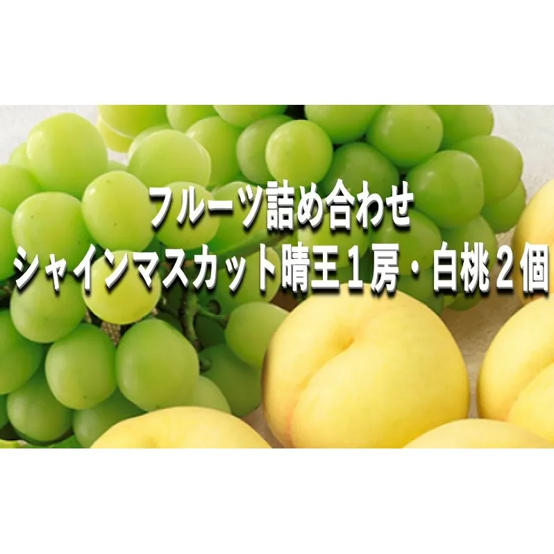 桃 ぶどう 【2025年 早期受付】 フルーツ詰め合わせ シャインマスカット 晴王 １房・ 白桃 ２個 もも ブドウ 葡萄 岡山県産 国産 フルーツ 果物 ギフト