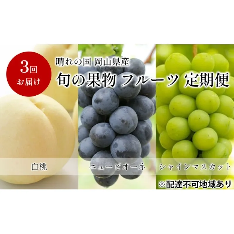 フルーツ 定期便 【2025年 先行予約】 晴れの国 旬の 果物 3回お届け便 岡山 白桃 2kg(5玉～7玉) ニュー ピオーネ 4房2kg以上  シャインマスカット 4房(2.4kg以上) 岡山県産 国産 セット ギフト