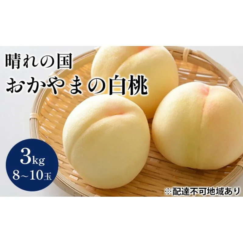 桃 【2025年 先行予約】 晴れの国 おかやま の 白桃 3kg(8玉～10玉) もも モモ 岡山県産 国産 フルーツ 果物 ギフト