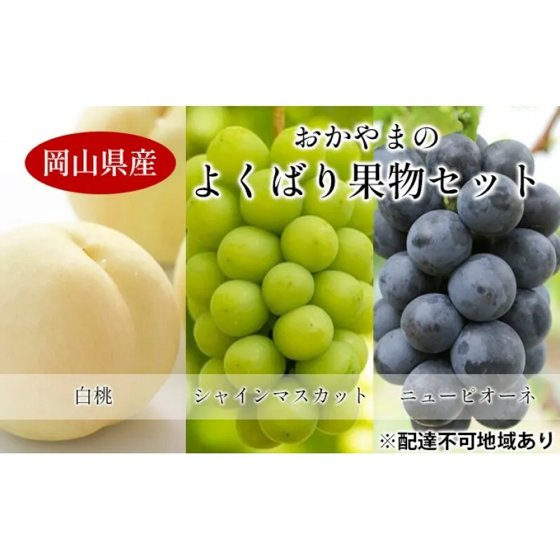 桃 ぶどう 【2025年 先行予約】 よくばり 果物 セット 岡山 白桃 2玉 合計600g以上 シャインマスカット 2房 合計1.2kg以上 ニュー ピオーネ 2房 合計1kg以上 岡山県産 国産 フルーツ 果物 ギフト