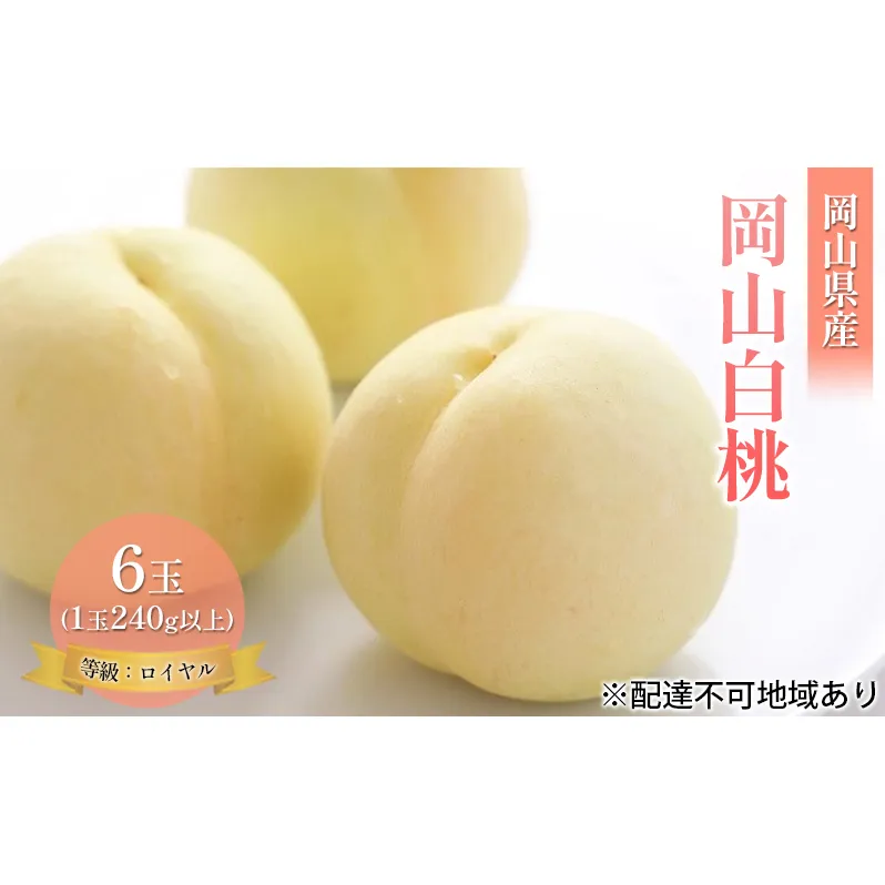 桃 2025年 先行予約 岡山 白桃 6玉 約1.4kg 等級：ロイヤル（1玉 240g以上） もも モモ 岡山県産 国産 フルーツ 果物 ギフト