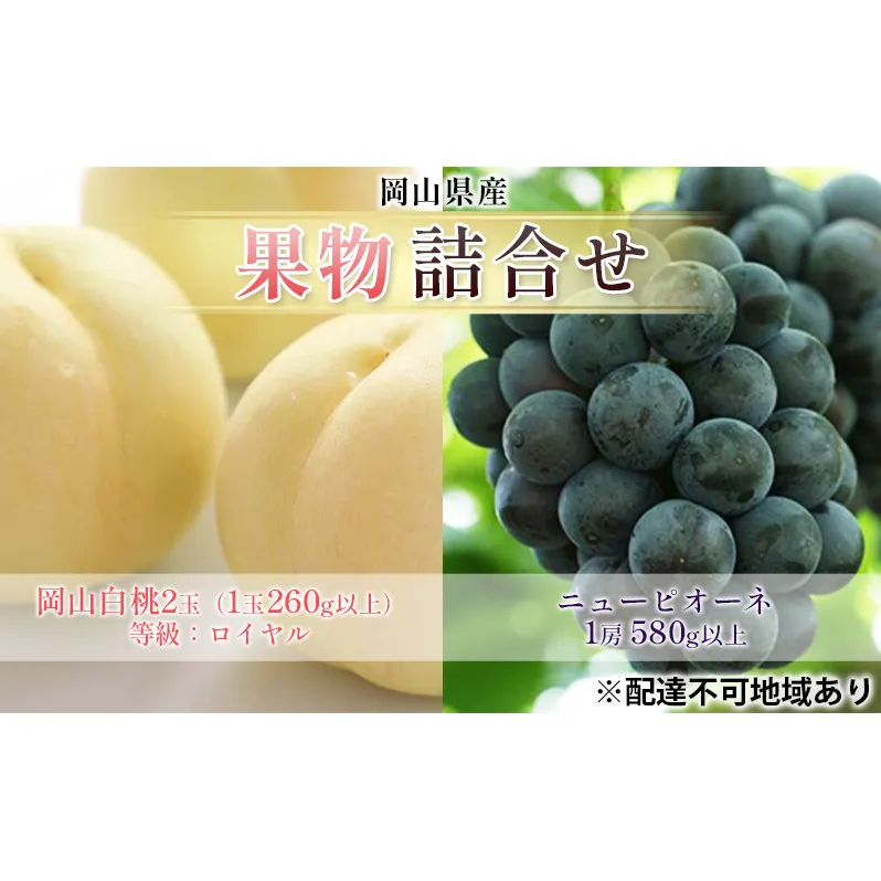 ぶどう 2025年 先行予約 果物 詰合せ 岡山 白桃 2玉 等級：ロイヤル（1玉260g以上） ニュー ピオーネ  1房 580g以上 もも 葡萄 岡山県産 国産 フルーツ 果物 ギフト
