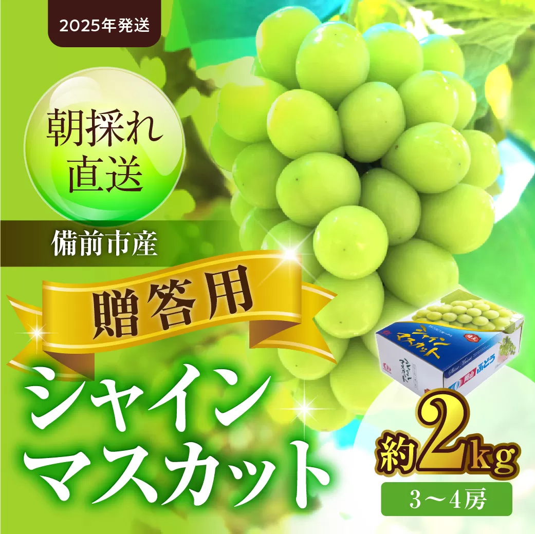 【2025年発送】備前市産 贈答用シャインマスカット 約2kg（令和７年８月中旬～９月中旬発送予定）【 フルーツ シャインマスカット 備前市産 晴れの国おかやま 】