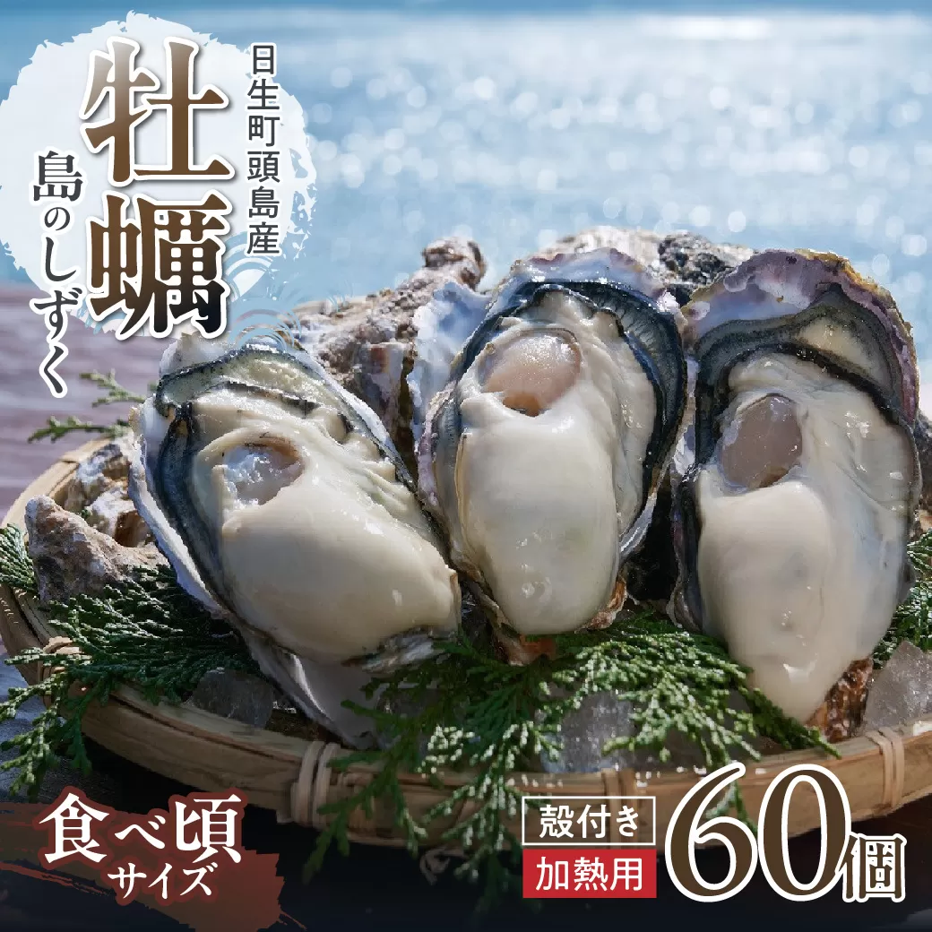 【厳選！】日生頭島殻付牡蠣「島のしずく」（加熱用・食べ頃サイズ60個）