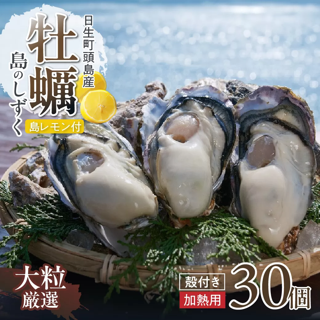 【厳選！】日生頭島大粒殻付牡蠣「島のしずく」（加熱用・30個）と「島レモン」