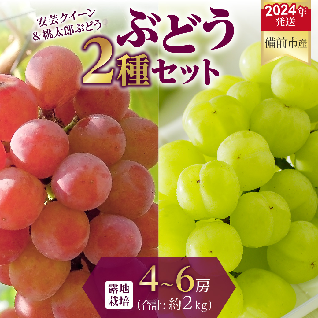 2024年発送】岡山県備前市産 樹上完熟「安芸クイーン」「桃太郎ぶどう」（露地栽培）約2kg 詰合せセット｜備前市｜岡山県｜返礼品をさがす｜まいふる  by AEON CARD