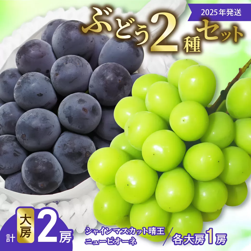 【令和７年発送分】岡山県産 シャインマスカット晴王×ニューピオーネ 各大房2種（令和7年8月から10月発送）【 岡山県産 シャインマスカット ニューピオーネ 大房 秀品 晴王 晴れの国おかやま 】