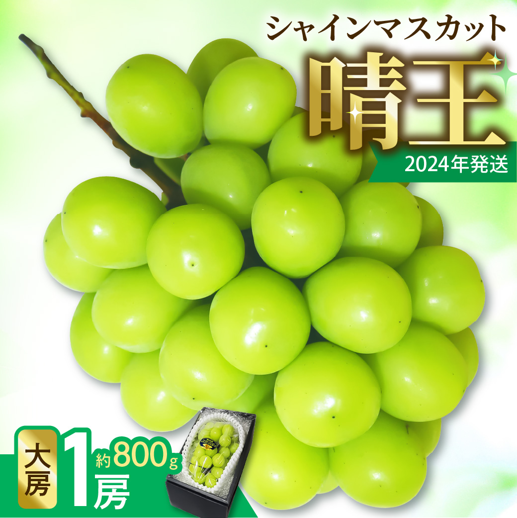 2024年発送分】岡山県産シャインマスカット晴王 大房１房｜備前市｜岡山県｜返礼品をさがす｜まいふる by AEON CARD