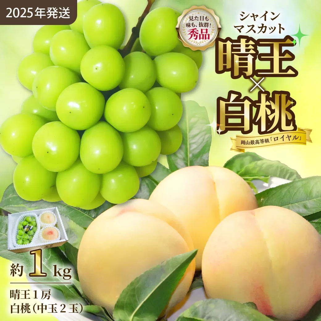 【令和７年発送分】岡山県産 シャインマスカット晴王×白桃 約1kgセット（令和7年7月から8月発送）【 岡山県産 シャインマスカット 秀品 晴王 白桃 ロイヤル 晴れの国おかやま 】