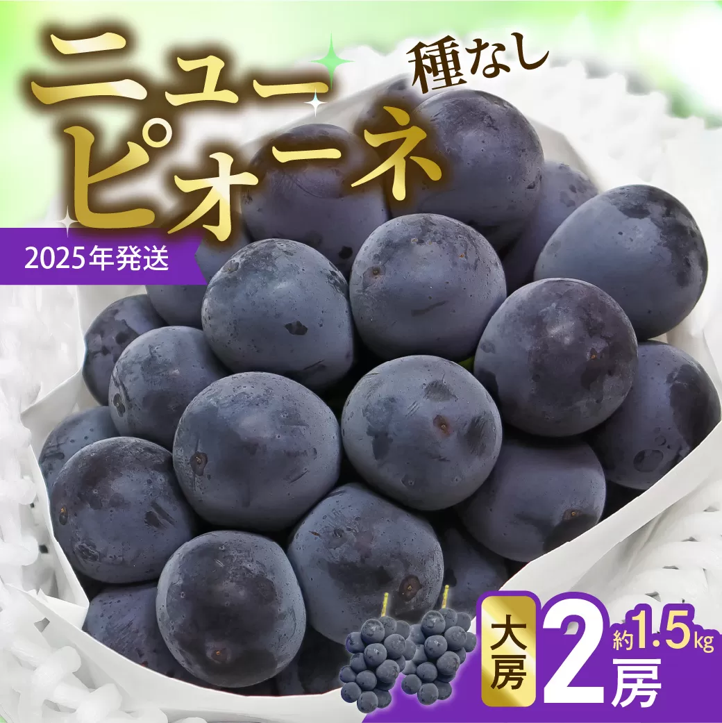 【令和７年発送分】岡山県産 ニューピオーネ 大房2房（令和7年8月から10月発送）【 岡山県産 ニューピオーネ 大房 晴れの国おかやま 】