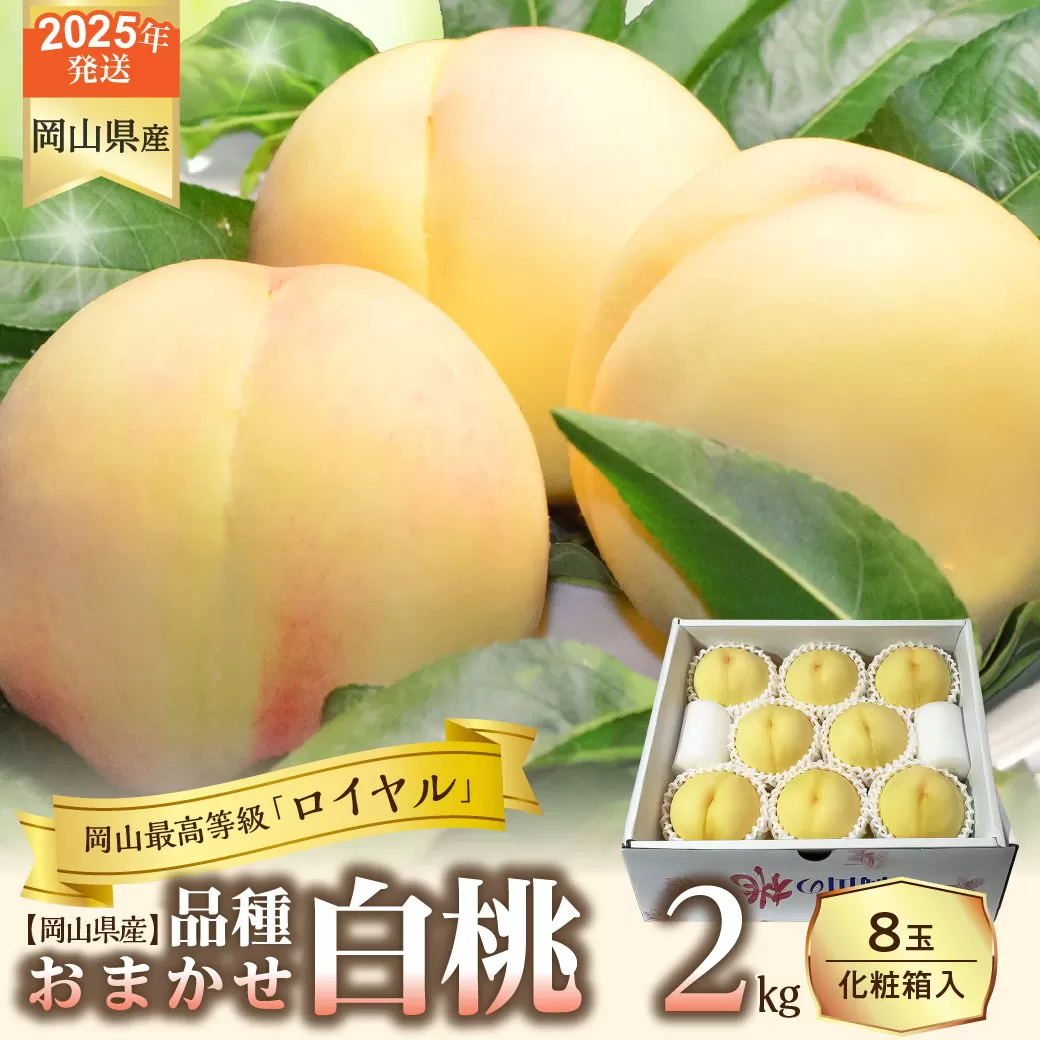 【令和７年発送分】岡山県産 白桃「ロイヤル」2kg（令和7年7月から8月発送）【 岡山県産 白桃 ロイヤル 晴れの国おかやま 】