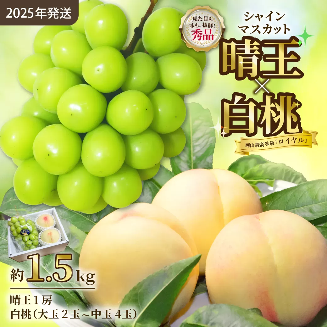 【令和７年発送分】岡山県産 シャインマスカット晴王×白桃 約1.5kgセット（令和7年7月から8月発送）【 岡山県産 シャインマスカット 秀品 晴王 白桃 ロイヤル 晴れの国おかやま 】