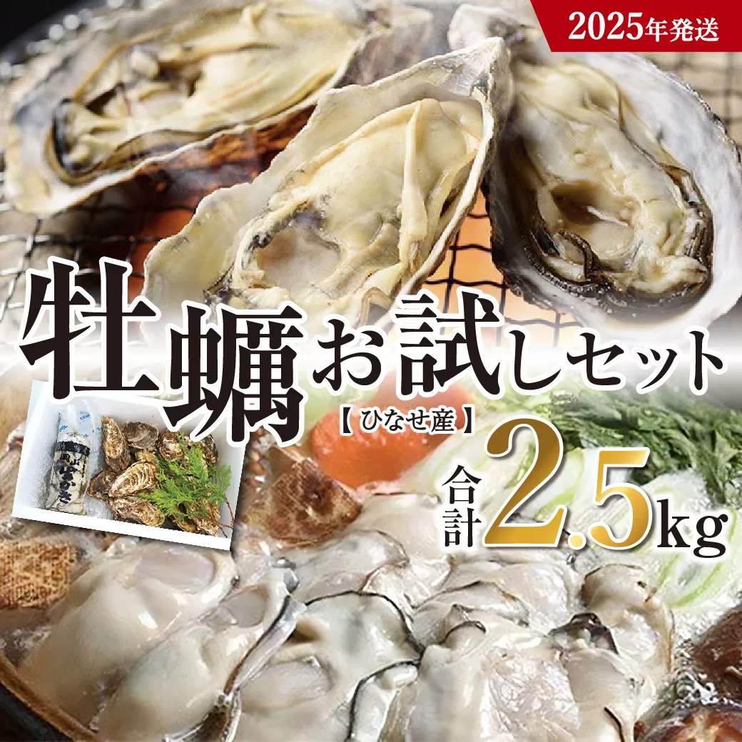 【2025年発送】ひなせ産　牡蠣　食べ比べ　お試しセット