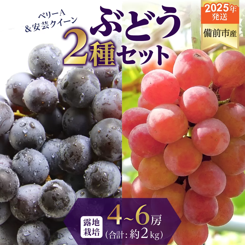 【2025年発送】びぜん葡萄「ベリーＡ」「安芸クイーン」（露地栽培）約2kg 【 岡山県備前市産 ベリーＡ 安芸クイーン 露地栽培 約2kg 樹上完熟 】