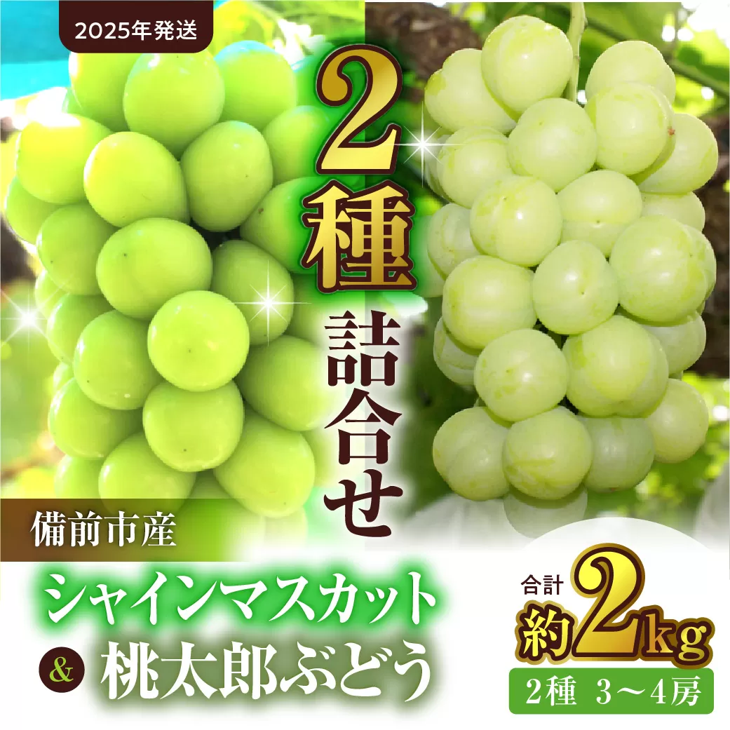 【2025年発送】備前市産シャインマスカットと桃太郎ぶどうの詰合せ 約2kg （2種 3～4房）（令和７年９月初旬～９月中旬発送予定）【 フルーツ 詰合わせ シャインマスカット 桃太郎ぶどう 備前市産 晴れの国おかやま 】