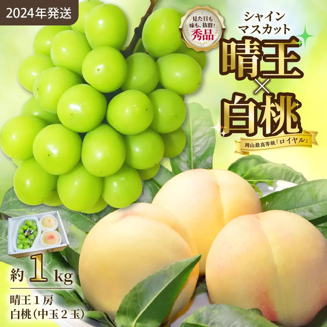 岡山県産 シャインマスカット晴王×白桃　『高品質１kgセット』