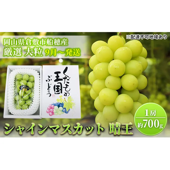 【2025年先行予約】 ぶどう 岡山県産 シャインマスカット 晴王 厳選 1房 約700g 大房 岡山県 倉敷市 船穂産 《2025年9月上旬-10月上旬頃出荷》 葡萄 ブドウ フルーツ 果物 数量限定 期間限定 里庄町