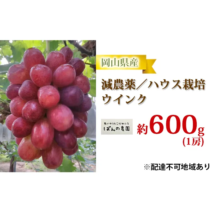 ぶどう 2024年 先行予約 ウインク 1房 約600g  減農薬／ハウス栽培 ブドウ 葡萄  岡山県産 国産 フルーツ 果物 ギフト ばんの農園