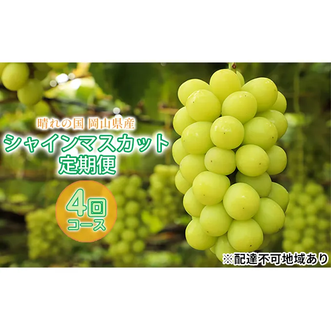 ぶどう 2024年 先行予約 晴れの国 シャインマスカット 1房 定期便 4回 コース 葡萄 岡山 国産 フルーツ 果物 シャインマスカット フルーツ ぶどう ブドウ フルーツ 種なし フルーツ 旬 定期便 