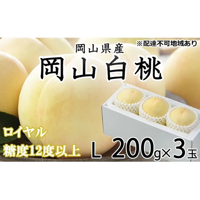 桃 2024年 先行予約 岡山 白桃 ロイヤル 3玉×約200g（Lサイズ） JA おかやま のもも（早生種・中生種） もも モモ 岡山県産 国産 フルーツ 果物 ギフト