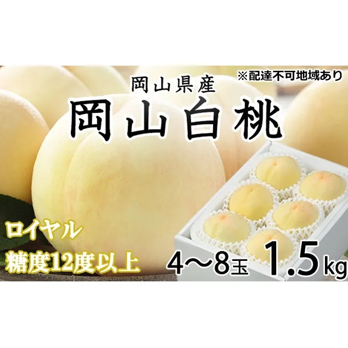 桃 2024年 先行予約 岡山 白桃 ロイヤル 4～8玉 約1.5kg JA おかやま のもも（早生種・中生種） もも モモ 岡山県産 国産 フルーツ 果物 ギフト