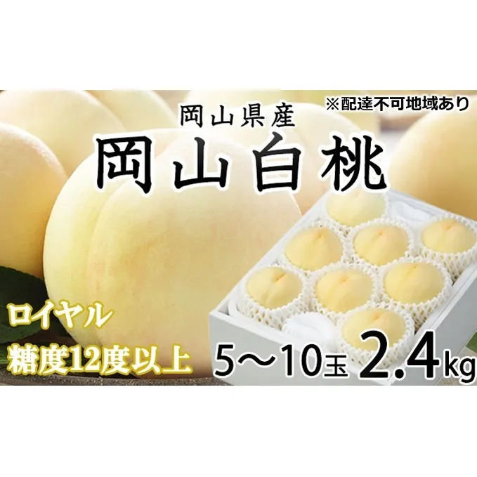 桃 2024年 先行予約 岡山 白桃 ロイヤル 5～10玉 約2.4kg JA おかやま のもも（早生種・中生種） もも モモ 岡山県産 国産 フルーツ 果物 ギフト