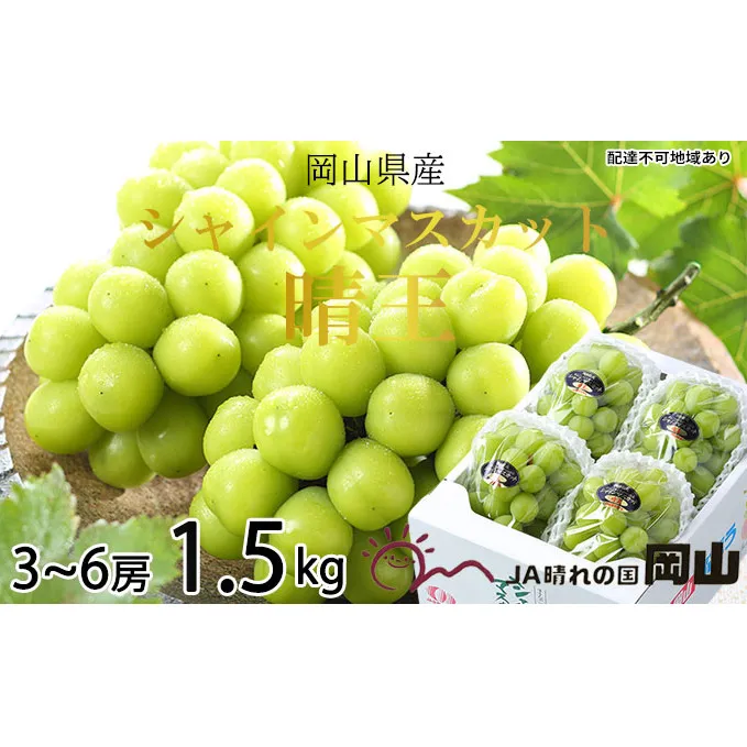 ぶどう 2024年 先行予約 シャイン マスカット 晴王 3房～6房 約1.5kg 7月中旬～8月中旬発送 ブドウ 葡萄  岡山県産 国産 フルーツ 果物 ギフト